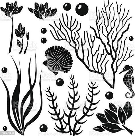 Vector design elements featuring various ocean plants and sea... | Fish ...