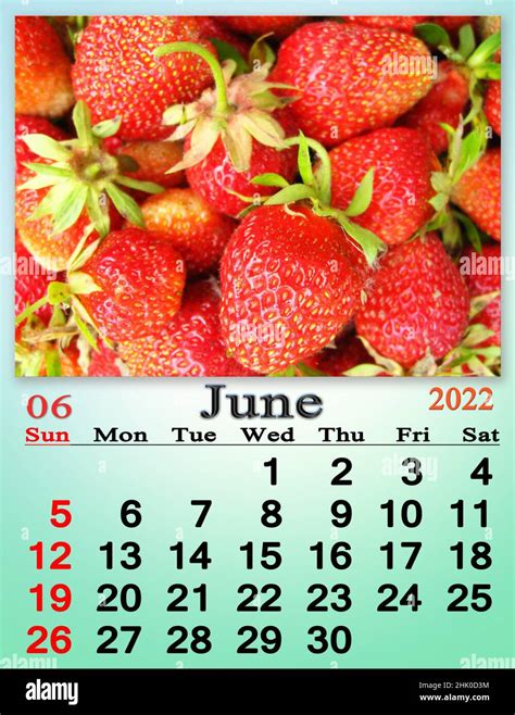 June 2022 Calendar for organizer to plan and reminder on nature ...