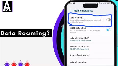 What is Data Roaming? - APN Mostly