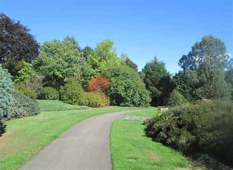 Dundee Botanic Garden | Pining for the West