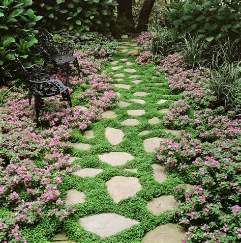 11 Best Ground Cover Flowers & Plants - Low Growing Perennial Flowers