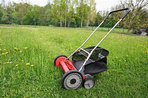 15 Different Types of Lawn Mowers Explained | Trees.com