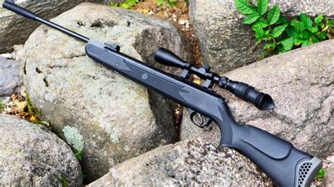 The 5 Best Air Rifle Scopes (2024 Reviews & Recommendations)