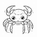 Crab Mewarnai Kepiting Krab Printable Udang Clipartmag Sketsa Krusty  sketch template