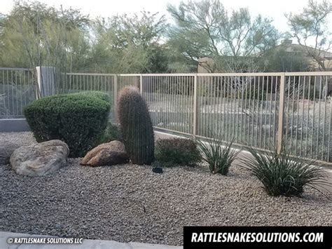 Snake Fence Installations - Don't Wait Until a Snake Shows Up - Rattlesnake Solutions