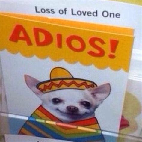 Loss of a loved one - too funny! #sympathycard #fail #chihuahua #adios | You had one job, Job ...