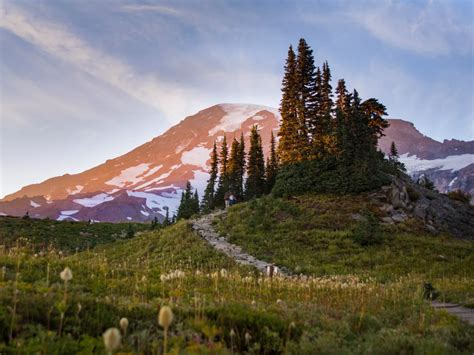 Day hiking on Mount Rainier: An introductory guide | Hiking spots ...