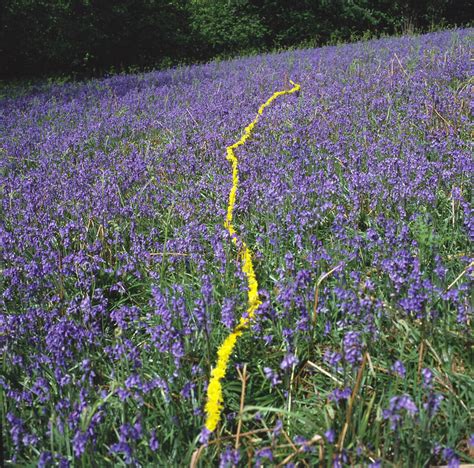 Mrs. Crouch's {Artistic} Digital Photography Class Blog: Andy Goldsworthy Environmental ...