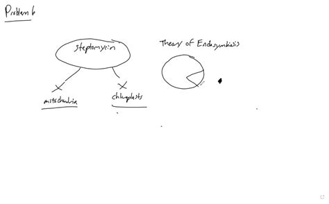 SOLVED: The endosymbiont theory suggests that mitochondria and ...