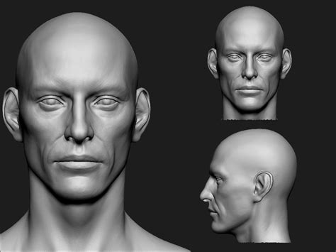 Head Anatomy, Anatomy Sculpture, Face Reference, 3d Face, 3d Modeling, Knife, Fan Art, Image, Quick