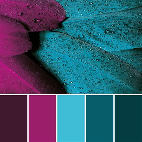 Color Palette 2149 Color Palette Ideas - vrogue.co
