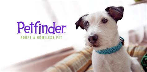 Petfinder Adoptable Pets - Apps on Google Play