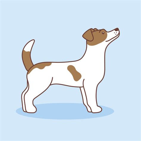 ilustración de dibujos animados vectoriales de un jack russell terrier. el perro está parado de ...