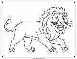 Lion Template Templates Animal Coloring Sketch Page sketch template