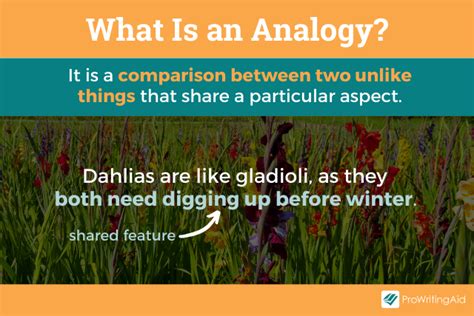 Analogy: Definition & Meaning (with Examples) - The Grammar Guide