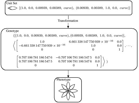 Example of mapping from genotype to phenotype. | Download Scientific Diagram