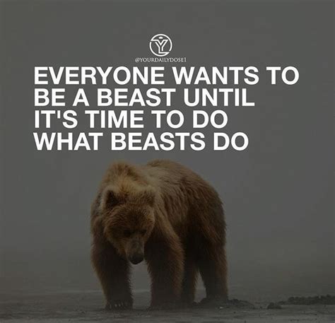 Exactly! | Bear quote, Great motivational quotes, Thoughts quotes