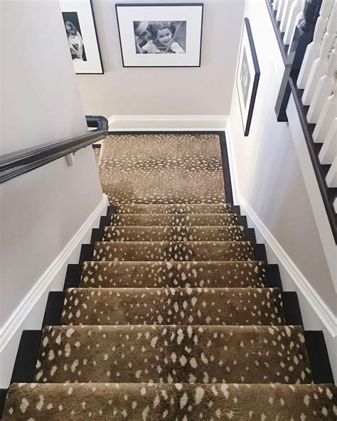 Looking for stair carpets and runners? From classic stripes to fun ...