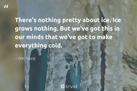 36 Ice Quotes to Remind Us To Protect Our Environments Diversity