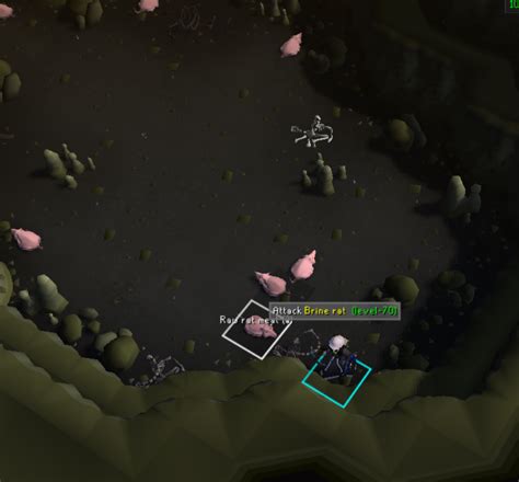 File:Brine rat safespot.png - OSRS Wiki