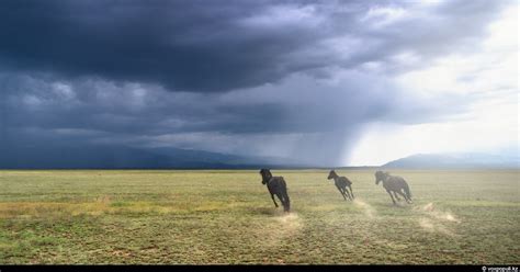 Breathtaking views of Kazakhstan nature · Kazakhstan travel and tourism ...