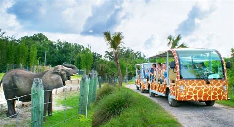 Tampa Zoo - tickets, prices, discounts, Safari Tram, Roaring Springs ride