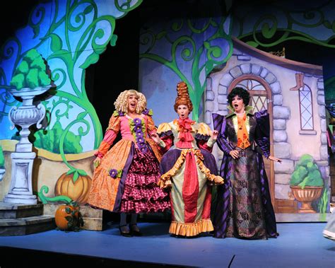 Evil Step-Sisters. And Mom. | Cinderella musical, Cinderella broadway, Cinderella