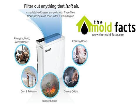 Best Air Purifier For Mold - The Mold Facts - Page 1 | Flip PDF Online | PubHTML5