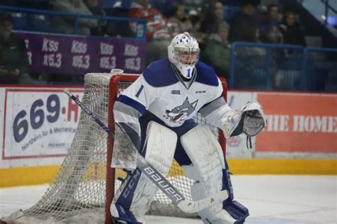 Sabres prospect Ukko-Pekka Luukkonen named OHL's top goalie | Buffalo Hockey Beat