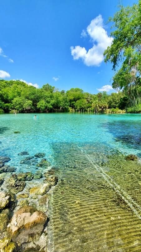 Orlando Florida day trip! 5+ best Ocala National Forest springs near ...