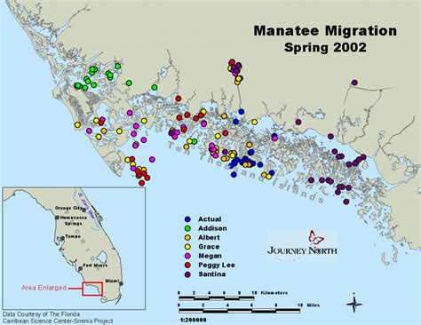 Journey North Manatees - Manatee Florida Map | Printable Maps