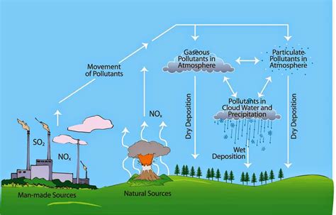 What is ACID RAIN : its effects and how to stop it.