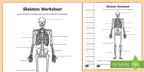 Skeletal System for Grade 5 - Primary Resources