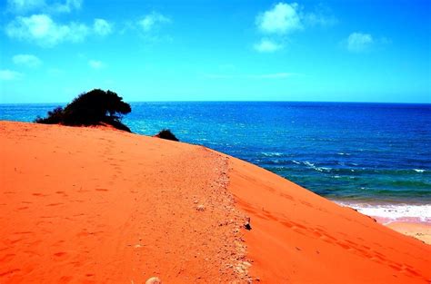 Photos Of My Favorite Coastlines Around The World | Western australia, Australia, Blue ocean