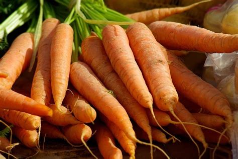 9 Sandy Soil Tolerant Vegetables That are Easy to Grow – The garden!