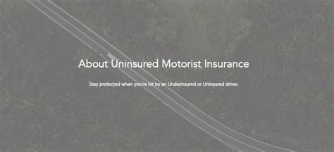 Florida Uninsured Motorist Car Insurance Quotes & Information