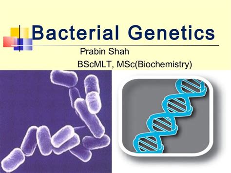 Bacterial genetics