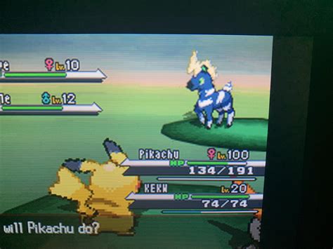 [5] Shiny blitzle in black : r/ShinyPokemon