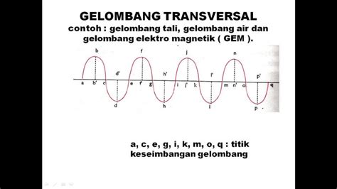 Contoh Gelombang Transversal Dalam Kehidupan Sehari-hari