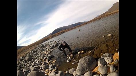 Hucho Taimen Fly Fishing in Mongolia 2012 - YouTube