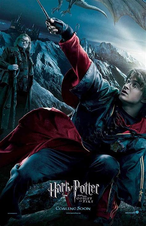 Harry Potter and the Goblet of Fire Movie Poster (#8 of 31) - IMP Awards