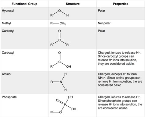 Phosphate Functional Group Example