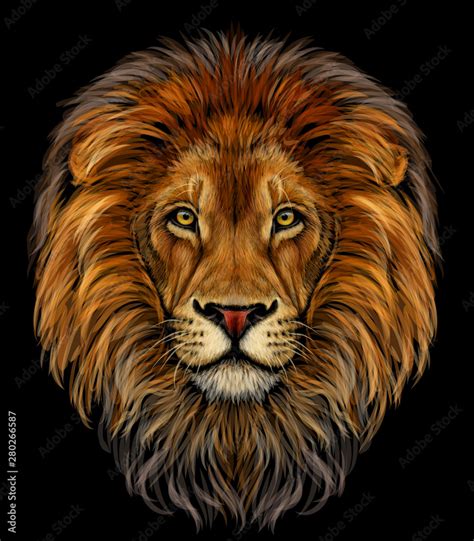 Lion. Color, realistic portrait of a lion's head on a black background ...