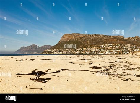 False Bay beach near Kalk Bay Cape Town South Africa, with Fish Hoek in ...