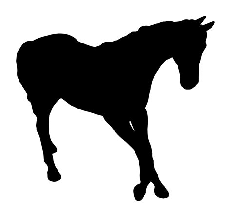 Horse Silhouette Free Stock Photo - Public Domain Pictures