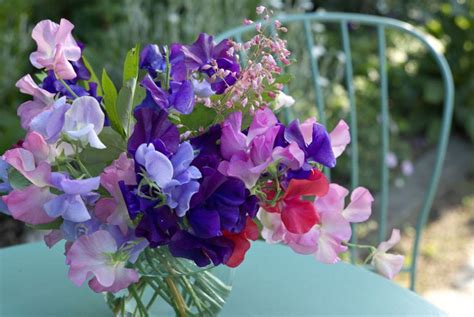 Wicken - Gartenzauber | Blumenarrangements, Garten, Schnittblumen