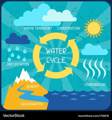 The water cycle Poster with nature infographics in