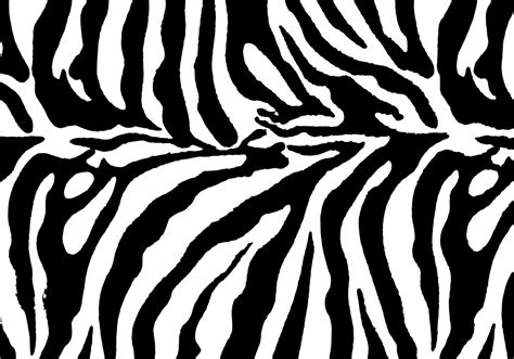 Free Zebra Print Background Vector - Download Free Vector Art, Stock Graphics & Images