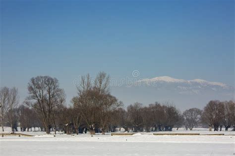 Bolu / Turkey, Winter Snow Season Landscape. Travel Concept Photo Stock ...