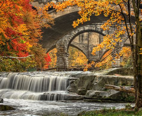 Your 2019 Ohio Fall Foliage Guide